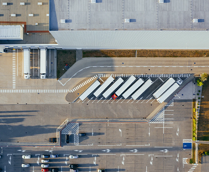 news01 image